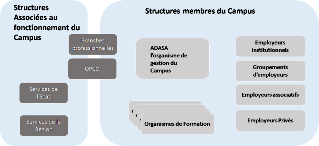 Schéma 4 Structure membres campus