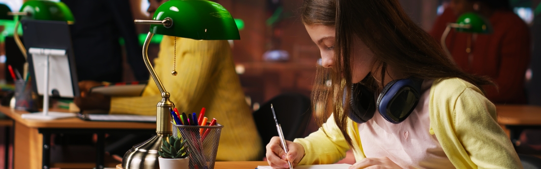 BPJEPS Animation Socio Educative et Culturelle